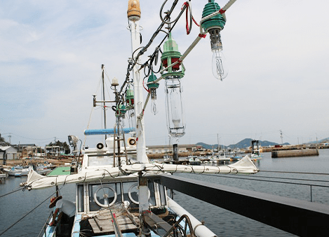 照明（ライト）